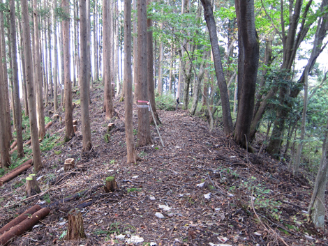 20191031hike (206)